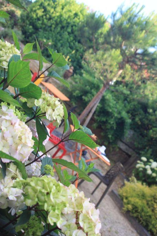 Hotel - Restaurant L'Hortensia Noyalo Eksteriør billede