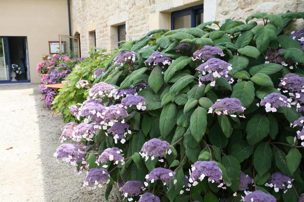 Hotel - Restaurant L'Hortensia Noyalo Eksteriør billede